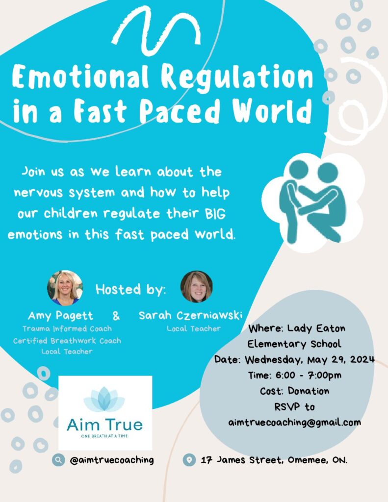 Emotional Regulation in a Fast Paced World
